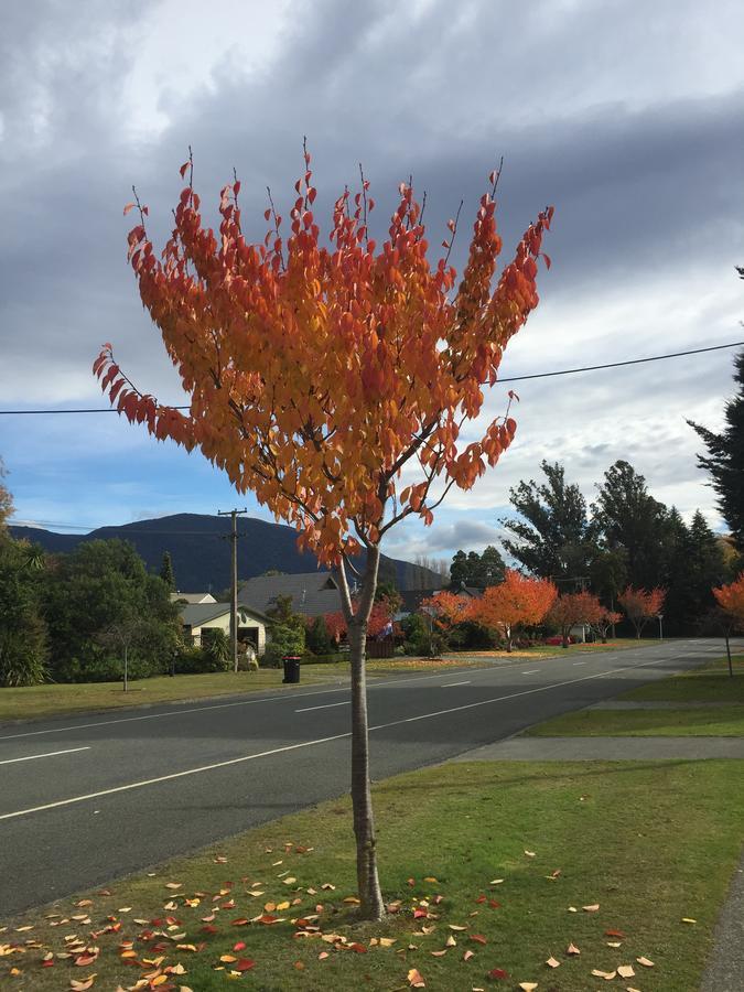 Shakespeare House Bed & Breakfast Te Anau Eksteriør bilde